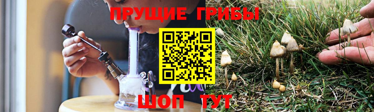 Рубцовск  Галлюциногенные грибы мицелий  Псилоцибиновые грибы Cubensis  закладка  Вход с VPN 